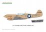 1/48 P-40N Warhawk Dual Combo Royal Class - preorder image 3