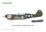 1/48 P-40N Warhawk Dual Combo Royal Class - preorder image 6