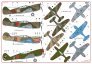 1/48 Lend-Lease Curtiss P-40s in Soviet Service image 1