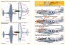 1/144 North-American P-51D Mustang 44-73623 image 1