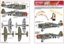 1/48 Republic P-47D Thunderbolts razorbacks