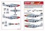 1/48 North-American P-51D-10-NA Mustang England