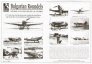 Blue Rider Cocardes Force A�rienne Bulgare 1944-50 1/72 image 1
