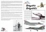 1/72 Mirage IIIS & RS decals with paint mask image 1