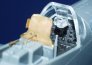 P-51D Mustang  (TAM) image 1