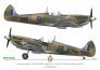 1/32 Sexy Spitfires image 4