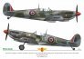 1/32 Sexy Spitfires image 6