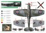 1/32 Sexy Spitfires image 7