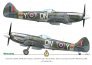 1/48 Sweet Fourteens Supermarine Spitfire Mk. XIVe image 1