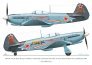 1/72 Yak Attack Yak-1b decals image 3