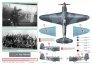 1/72 Yak Attack Yak-1b decals image 7