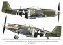 1/72 Yoxford Girls North-American P-51D Mustang image 3