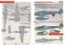 1/48 Lockheed P-38 Lightning hark Mouth Part 4