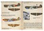 1/72 Curtiss P-40 In the service of foreign armies. Part 1 image 1