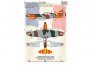 1/48 Dewoitine D.520 mask +decal+3D decal Algiers image 1