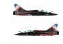 1/48 Mirage 2000N La Fayette US Tour image 3