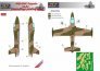 1/72 Mask MB-326K Impala Camouflage Painting