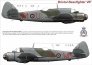 1/48 Decals Bristol Beaufighter IF&VIF Part III. image 1