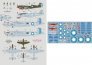 DK Decals Chinese-American Composite Wing 1/48 4 camo image 1