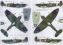 1/72 Decals Czechoslovak commanders in Spitfires image 1