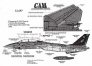 Cam Decals 1/32 F-14A Tomcat VF-154 Black Knights 1996