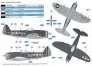 1/72 Republic P-47D/M  Gabreski image 1