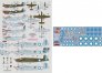 DK Decals Chinese-American Composite Wing 1/72 9 Tarn image 1