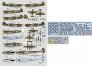 1/72 49th Fighter Group Part I. image 1
