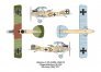 1/144 Albatros C.VII image 2