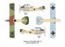 1/144 Albatros C.VII image 4
