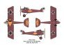 1/144 Pfalz D.IIIa image 2