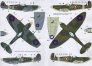 1/48 Decals Czechoslovak commanders in Spitfires image 2