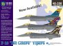 1/48 F-16C Bel Colore Vipers. The 31st Fighter Wing from Aviano