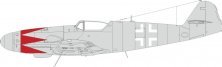 Mask 1/48 Bf 109K-4 tulip pattern & national insignia
