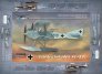 1/48 Friedrichshafen FF-33L In German Service image 1