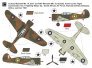 1/144 Curtiss H-75A/Mohawk IV Allied Pilots image 3