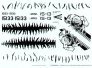 Model Alliance 1/48 NATO Tiger Meet 2007 F-16A F-16C EF-18A image 3