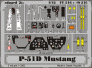 P-51D Mustang  (TAM)