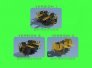 1/350 USN 40 mm/56 Bofors quadruple mount vers. 2 image 7