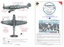 1/35 Bf-109G-6 Regensburg/MTT camouflage paint mask