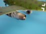Aires Upgrade set: Me 262A SCHWALBE engine set image 3