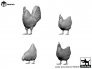 1/35 Rooster and hens
