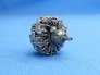 1/72 Pratt & Whitney R-2800 late image 1