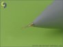 1/48 F-14 Alfa probe & Angle Of Attack probe image 1