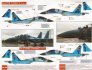 1/48 'Snow Leopards of the Seven Rivers'  Kazakh Su-27 Flankers image 1
