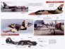 Linden Hill D�cals Forces A�riennes Lituanie Multi-�chelles image 2