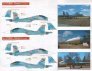 1/48 Belarusian Flankers (Su-27s of the 61st Fighter Air Base, B image 2