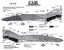 Cam Decals F-4S VF-301 Ferris 1983 1/32