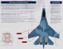 Linden Hill D�cals 1/32 Sukhoi Su-27/30 Flanker Sparka image 1