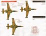 1/72 Post-Soviet Air Forces  Azerbaijan image 7